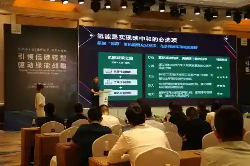 實現(xiàn)碳中和，氫能是可選項還是必選項？